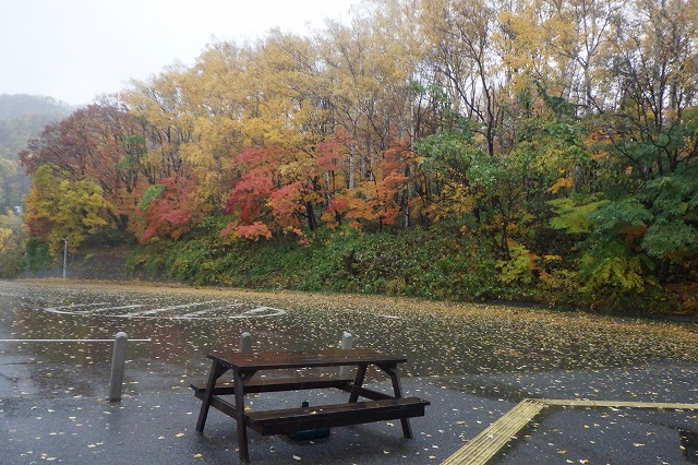 旭山の紅葉2025年11月1日第1駐車場