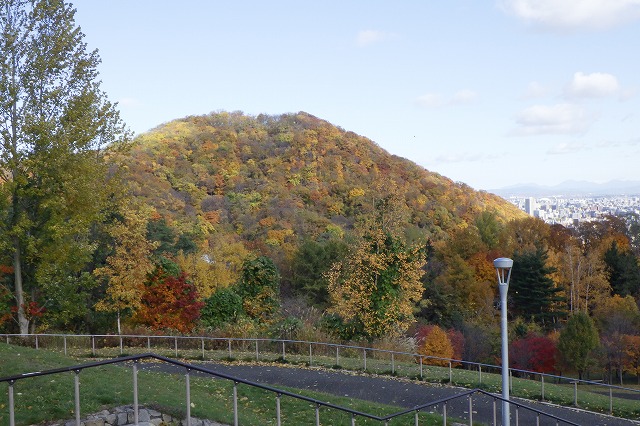 円山と新桜並木