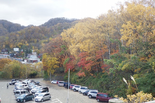 第一駐車場記念樹