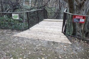 栗の木デッキ2025年11月23日1