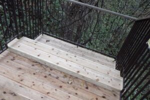 栗の木デッキ2025年11月23日2