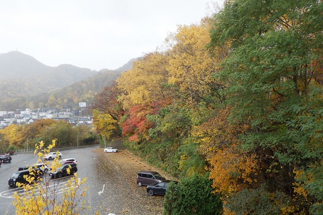 2025年11月2日紅葉の状況 (記念樹の森)
