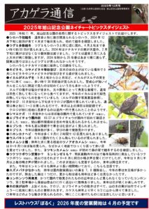 アカゲラ通信2025年12月号表