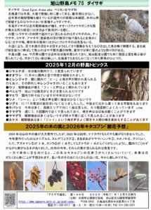 アカゲラ通信2025年12月号裏