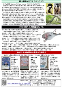 アカゲラ通信2026年1-2月号裏