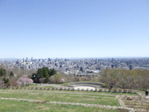 展望台からの景色