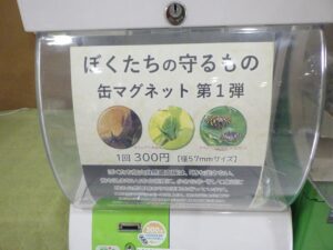 が