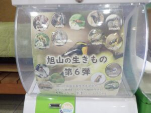 ガチャガチャ
