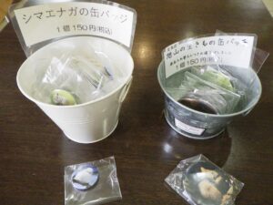 缶バッチ