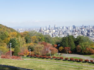 展望台からの街並み