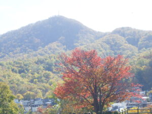 藻岩山と一本桜の紅葉