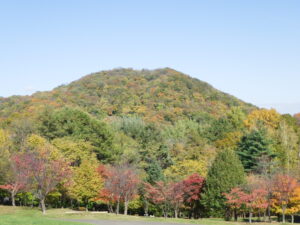 円山と新桜並木