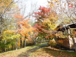 展望デッキ近くの散策路