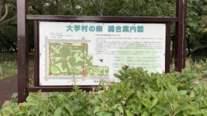 大学村の森2026年10月4日