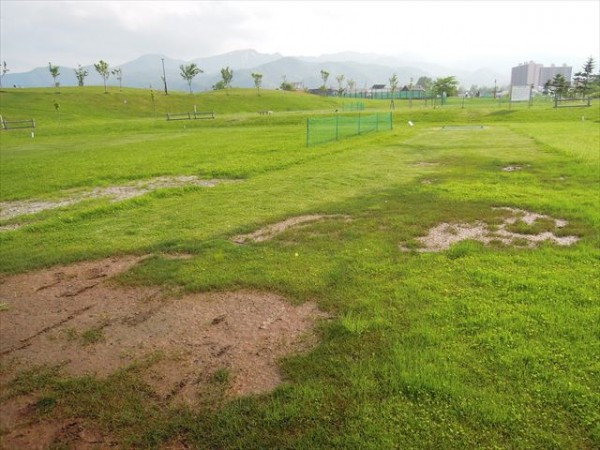 雨が降った後のぬかるみの様子