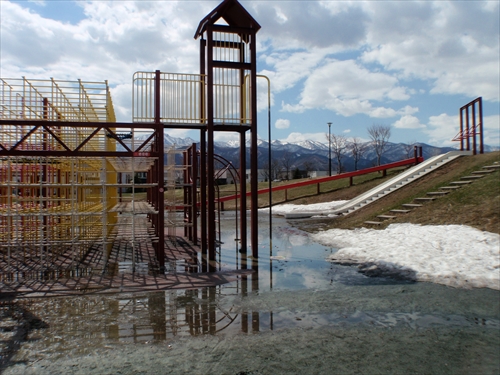 ジャングルの水たまり