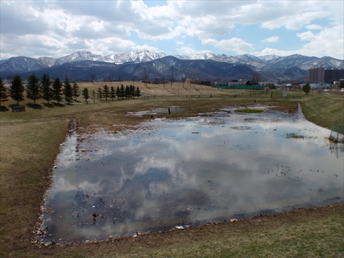 パークゴルフ場の水たまり