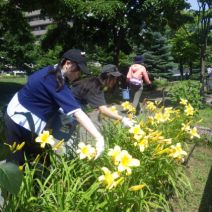 「公園ボランティアと学生こどもボランティア」の写真