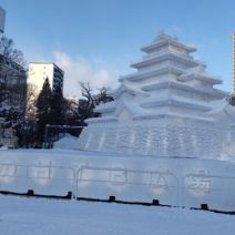 「本日のボランティア活動（バラ）」の写真