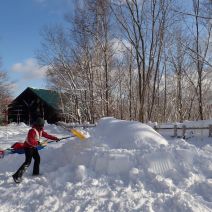 「たきの森フェス準備中！」の写真
