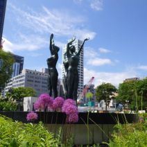 「本日のボランティア活動(シーズネット)」の写真