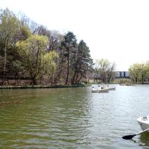 「貸しボートがオープンしました！」の写真