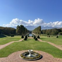 「園内樹木の様子（10月11日）」の写真