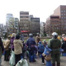 「本日のボランティア活動（バラ）」の写真