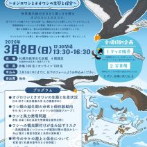 「【フォーラム】北海道の空を舞う美しいワシたち ～オジロワシとオオワシの生態と保全～」の写真