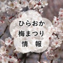 「梅林の様子【4月26日】」の写真