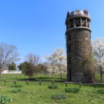 「本日の百合が原公園と美味しい新商品（2026年4月26日）」の写真