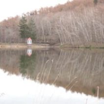 「西岡公園自然情報　2026年4月15日」の写真