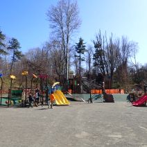 「森のあそび場の開放について」の写真