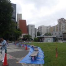 「初夏のベンチ塗装イベントを行いました」の写真