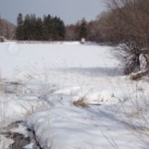 「大通公園ボランティアの皆さん 今年もよろしくお願いいたします」の写真