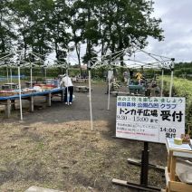 「管理事務所よこ広場にてイベント開催中」の写真