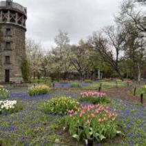 「百合が原公園、本日の様子（2026年5月4日）」の写真