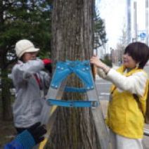 「樹名板取り付け」の写真