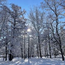 「園内のようす」の写真