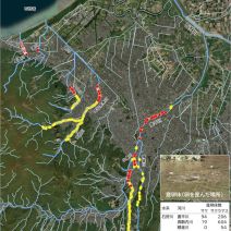 「2025年度 札幌市内のサケ・サクラマス産卵床調査結果」の写真