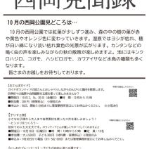 「「西岡見聞録10月号」が発行されました」の写真