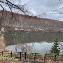 「西岡公園自然情報　2026年4月5日」の写真