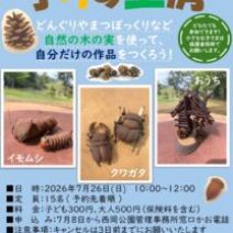 「7月の子りす工房「木の実を使って工作をしよう!」を開催しました!」の写真