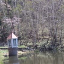 「西岡公園自然情報　2026年4月29日」の写真