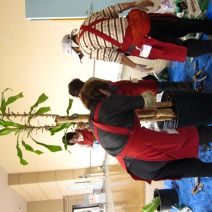 「2026年4月27日月曜日ボランティア活動報告」の写真