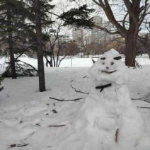 「おげんきですか？」の写真