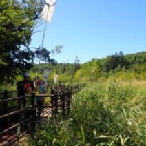 「西岡公園自然調査報告展　札幌市円山動物園サル山展望レストハウスで開催中」の写真