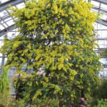 「旭山記念公園野鳥情報2026年2月17日（火曜日）」の写真