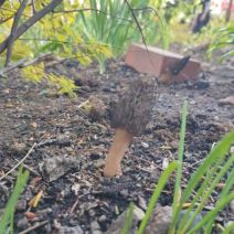 「はじめまして。」の写真