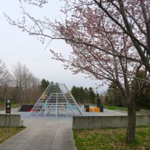「4月22日　サクラの開花状況【開花】」の写真